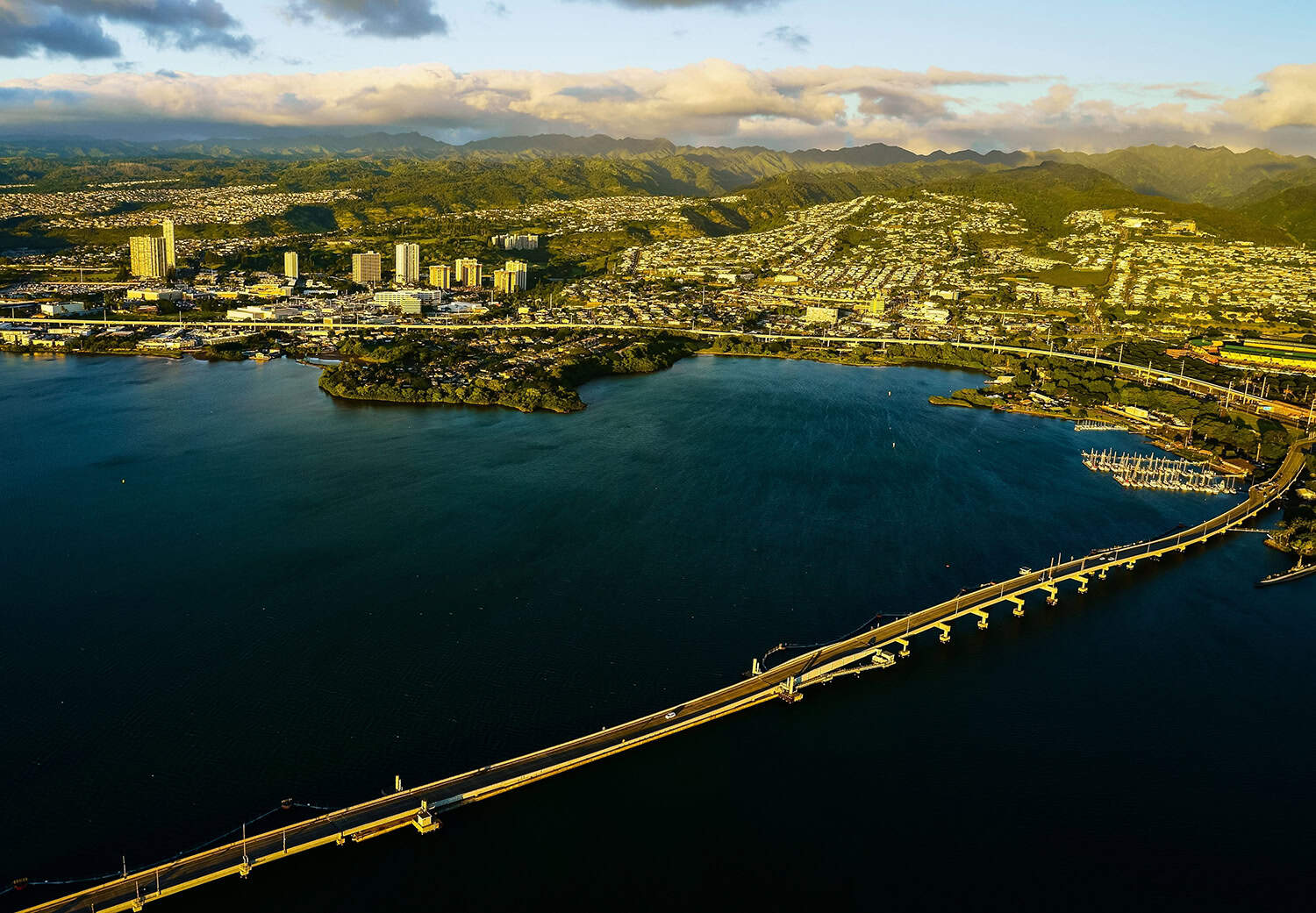 Aiea, Oahu: Security Camera & Access Control Install & Repair